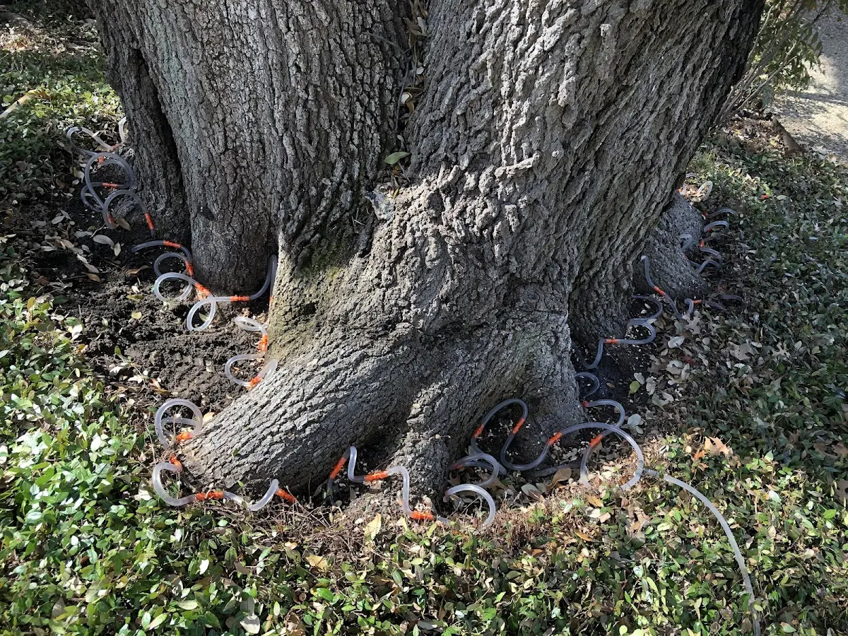 Detailed Shrub and Hedge Trimming job site in Waukomis