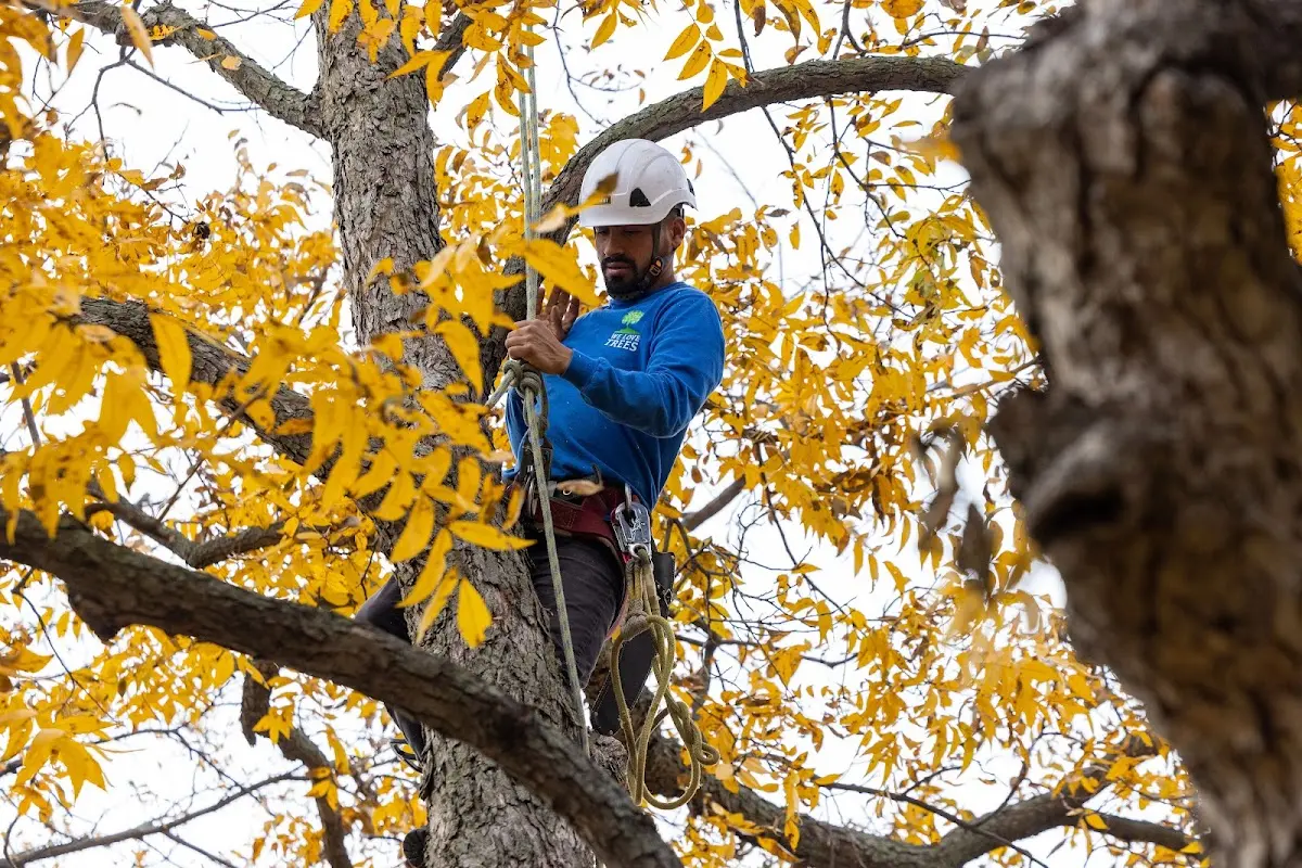 Skilled Storm Damage Cleanup crew working in Waukomis