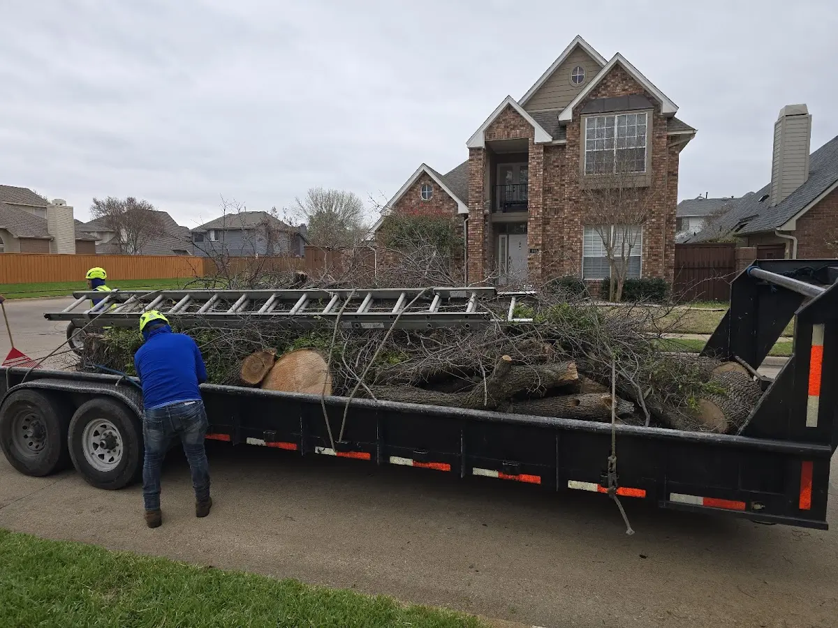 Expert Crown Reduction with proper safety equipment in Waukomis
